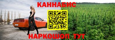 спиды Аргун