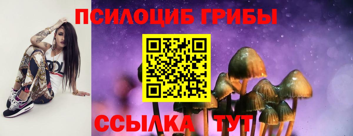 Галлюциногенные грибы Magic Shrooms  наркота  Волжский  Вход с VPN 